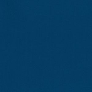 清原 KIYOHARA KIYOHARA パレットカラー帆布 11号 生地 無地 綿100% 約110cm×50cmカット BL ブルー KOF02-50 BL 清原