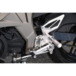 アグラス AGRAS アグラス 312-308-000 バックステップ GSX-S125 AGRAS
