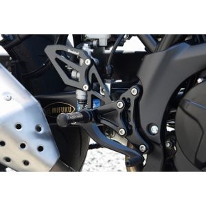 ウッドストック ウッドストック WBS-S16-BB バックステップキット オールBLK SV650 ABS 16-