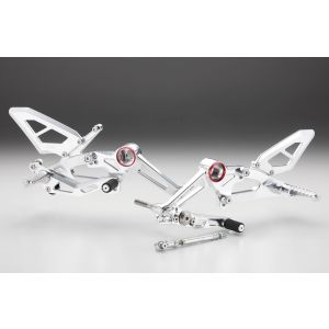 アエラ AELLA アエラ AE-10099-PO ライディングステップキット ポリッシュ APRILIA RS660