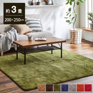 イケヒココーポレーション  イケヒコ ラグ カーペット マット 珊瑚マイヤ 洗える 滑りにくい ベージュ 約200×250cm