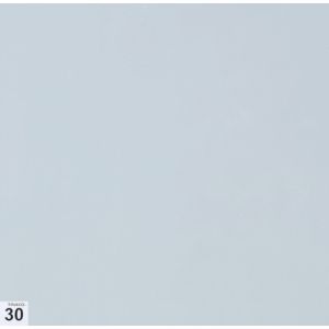 トラスコ TRUSCO トラスコ ASSF-3030W エアーシャワー用粘着シート 穴なし 300X300 30枚 高粘度 白 TRUSCO