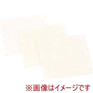 ナカニシ ナカニシ 56804 ダイヤフィルムシート 100×100×0.2 #800