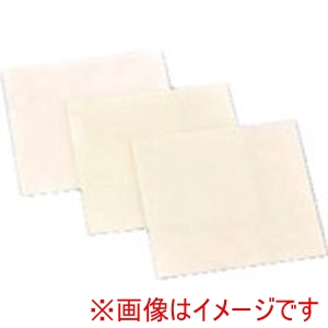 ナカニシ ナカニシ 56806 ダイヤフィルムシート 100×100×0.2 #1500