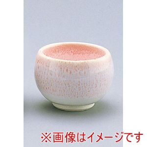 遠藤商事 TKG TKG 桜流しぐい呑 D03-48 遠藤商事