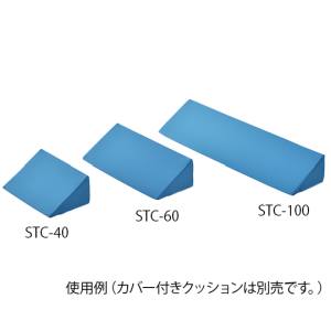アズワン AS ONE アズワン 8-8680-12 体位固定クッション1000mm用 交換カバー