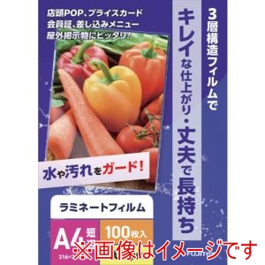 フジテックス フジテックス 1117033004 ラミネートフィルム100ミクロン A4 100枚入り