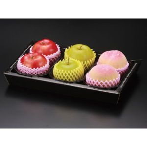 パックスタイル パックスタイル 贈答箱 PS BPアソートボックス アクアブラック 1ケース(100) 00444189 メーカー直送 法人限定 代引不可 北海道沖縄離島不可