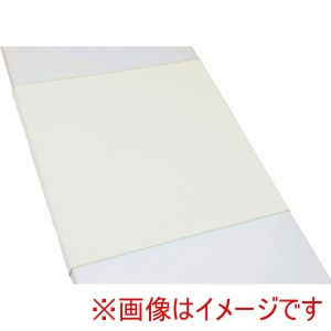 亀屋 亀屋 278402 100-04 ブルー防水シーツ スムースニット Lサイズ ブルー