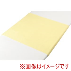 介援隊 介援隊 429362 CX-05003 介援隊 綿混パイル防水シーツ サックス