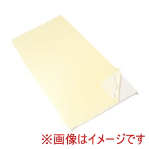亀屋 亀屋 501175 100-252 ブルー防水シーツ 綿パイル四隅ゴム付タイプ 幅120cm ブルー