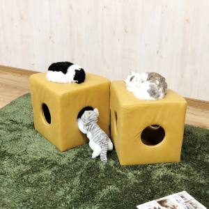 後藤家具物産 後藤家具物産 ねこちゃんのトンネル秘密基地 ハイタイプ PSO-1358-YE メーカー直送 代引不可 北海道沖縄離島不可