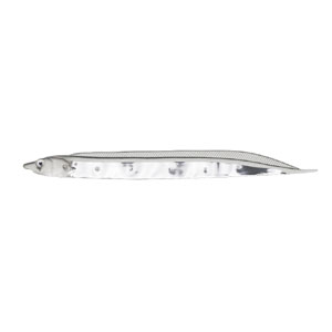 フィッシュアロー Fish Arrow フィッシュアロー フラッシュJ シラス 3インチ SW 110 クリアー シルバー
