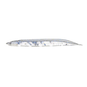 フィッシュアロー Fish Arrow フィッシュアロー フラッシュJ シラス 3インチ SW 147 クリスタルラメ シルバー