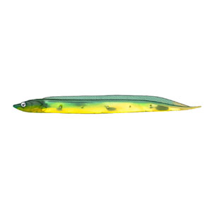 フィッシュアロー Fish Arrow フィッシュアロー フラッシュJ シラス 3インチ SW 149 グリーン ゴールド
