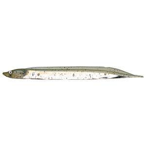 フィッシュアロー Fish Arrow フィッシュアロー フラッシュJ シラウオ 3インチ F39 Fリザーバーシャッド