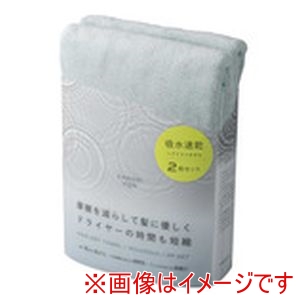 シービージャパン シービージャパン カラリコスヘアドライタオル2枚組グリーン