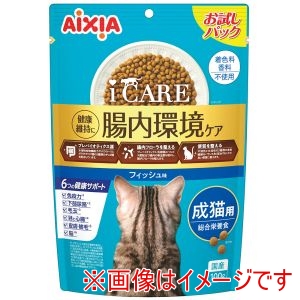 アイシア AIXIA アイシア i CARE キャットドライ 成猫用 フィッシュ味 100g