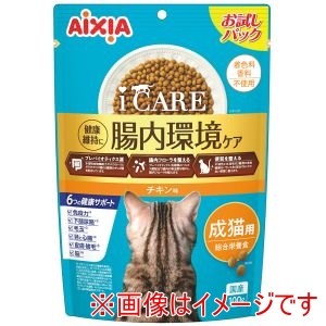アイシア AIXIA アイシア i CARE キャットドライ 成猫用 チキン味 100g