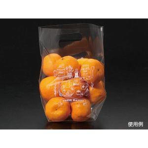 パックスタイル パックスタイル 青果用袋 PSスタンドバッグ No.2B 1ケース(2000) 00506562 メーカー直送 法人限定 代引不可 北海道沖縄離島不可