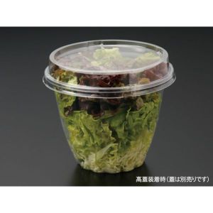 パックスタイル パックスタイル 麺 スープ容器 33ozサラダ 本体 1ケース(1000) 00534555 メーカー直送 法人限定 代引不可 北海道沖縄離島不可