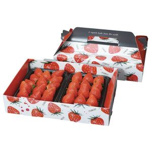パックスタイル パックスタイル フルーツ容器 PS手提箱イチゴ 2P※イチゴは入っていません 1ケース(100) 00553649 メーカー直送 法人限定 代引不可 北海道沖縄離島不可