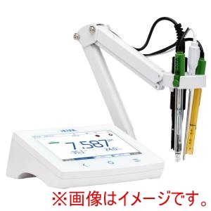 ハンナ ハンナ HI6553 卓上大型カラー液晶pH/EC/OPDO計