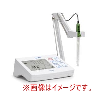 ハンナ ハンナ HI2621-01 卓上型pH/ORP計 Core Model