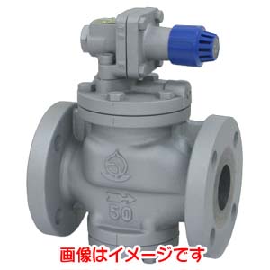 ベン ベン RP6-G 弁天 FC/SUS減圧弁 フランジ 蒸気用 0.03～0.8MPa 50A メーカー直送 代引不可 北海道沖縄離島不可