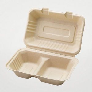 パックスタイル パックスタイル バガス容器 BBランチ 240-150-2 1ケース(250) 00649683 メーカー直送 法人限定 代引不可 北海道沖縄離島不可