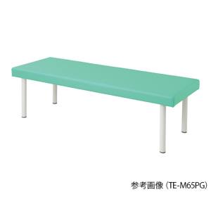 アズワン AS ONE アズワン 7-7499-04 カラフル診察台 ベッド高さ550mm ライトグリーン 受注生産