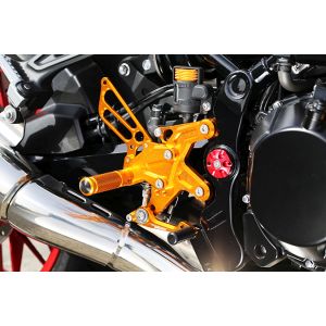 ベビーフェイス BabyFace ベビーフェイス 002-K033GD バックステップキット ゴールド Z900RS 18-