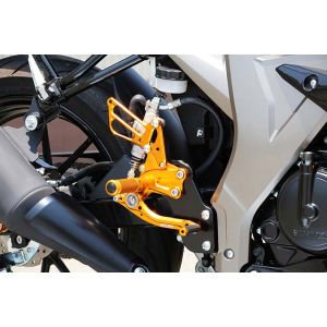 ベビーフェイス BabyFace ベビーフェイス R02-S004GD レースステップキット ゴールド GSX-R125/150 18-