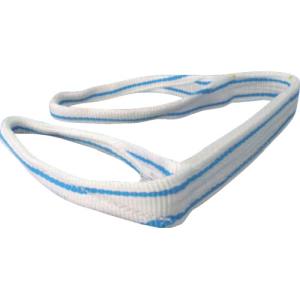 テザック TESAC TESAC PP2E50X2 耐化学薬品用スリング JIS2等級 両端アイ形 50mm幅×2m テザック