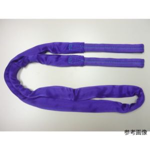 テザック TESAC TESAC TBSE1.0TX1.5M ブルースリングソフトE形 両端アイタイプ 荷重1t 全長1.5m テザック