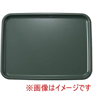 アサヒ興洋 アサヒ興洋 抗菌 ABS カラー トレー グリーン 36cm