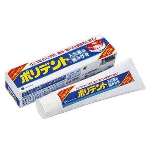 アース製薬 EARTH アース ポリデント 入歯の歯ミガキ 95g