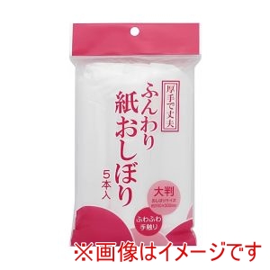アートナップ ARTNAP アートナップ ふんわり 紙おしぼり 5本入 WB-51