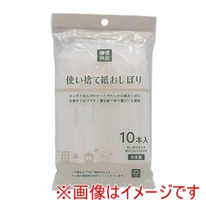 アートナップ ARTNAP アートナップ 環境良品 使い捨て 紙おしぼり 10本入 FS-13