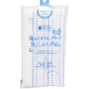 アイセン aisen アイセン BT754 泡立ちタオル海藻 BL