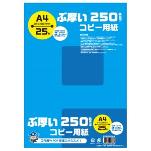 日本ノート 日本ノート PPC250A4 ぶ厚い250gsmコピー用紙A4