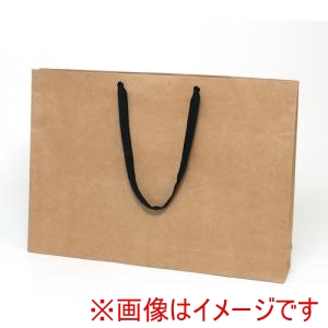 HEIKO HEIKO 6470510 手提げ紙袋 ファッションバッグ 未晒無地 LL 10枚入り