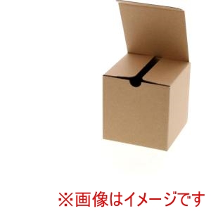 HEIKO HEIKO 6200110 ナチュラルボックス 無地 Z-1 10枚入り
