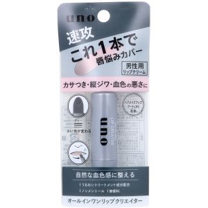 ファイントゥデイ ファイントゥデイ ウーノ オールインワンリップクリエイター 2 2g