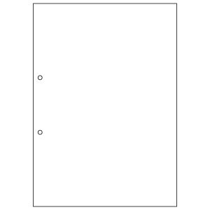ヒサゴ HISAGO ヒサゴ FSCF2001Z A4NC白紙2穴 大入