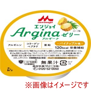 森永乳業クリニコ 森永乳業クリニコ 524978 0659248 エンジョイArgina アルギーナ ゼリー パイナップル味 42g×24個入