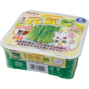 ペティオ Petio ペティオ ネコの元気草
