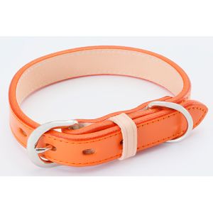 ペティオ Petio ペティオ アドメイト レザースタイルカラー SS オレンジ 小型犬 首輪 本皮 首周り240～300mm