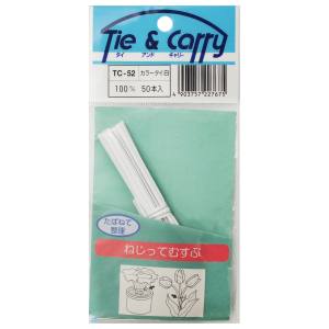 和気産業 和気産業 カラータイ 白 50本入 100mm TC-052