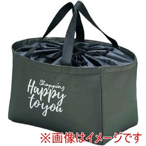 トルネ TORUNE トルネ レジカゴinバッグ Happy 22L P-3661